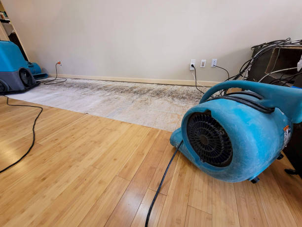 Professional Water Removal technician working in Holmdel, NJ